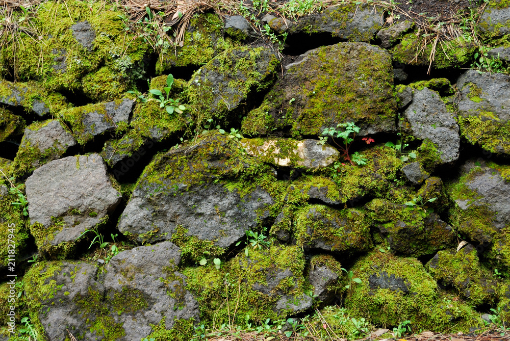 Green Rocks