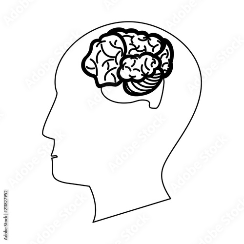 Brain hemispheres cartoon vector illustration graphic design