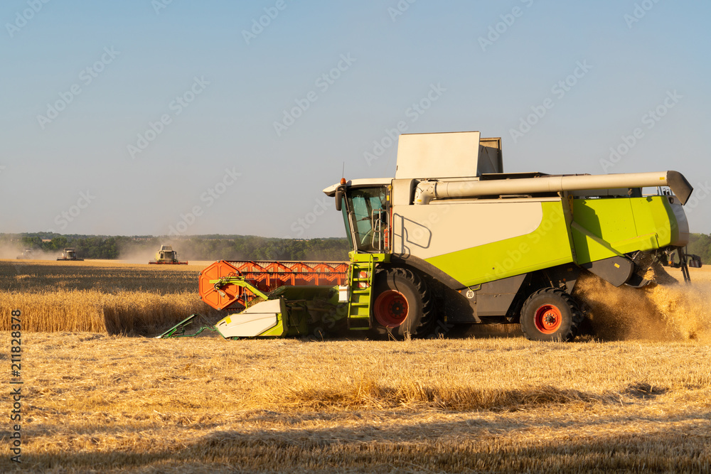 Fototapeta premium Harvesting of wheat. Combine harvesters at work