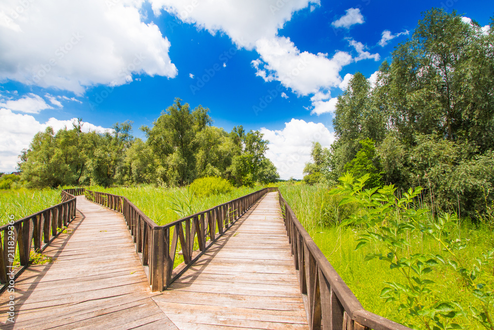 Wooden path in nature park Kopacki rit in Slavonia, Croatia, popular tourist destination and birds reservation Wooden path in nature park Kopacki rit in Slavonia, Croatia, popular tourist destination and birds reservation