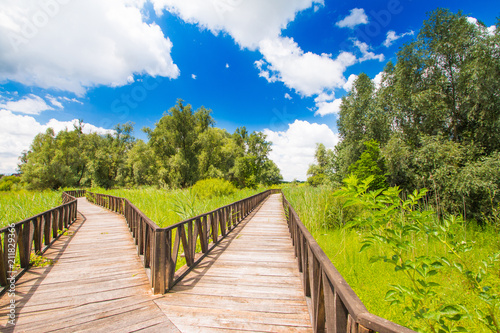  Wooden path in nature park Kopacki rit in Slavonia, Croatia, popular tourist destination and birds reservation 