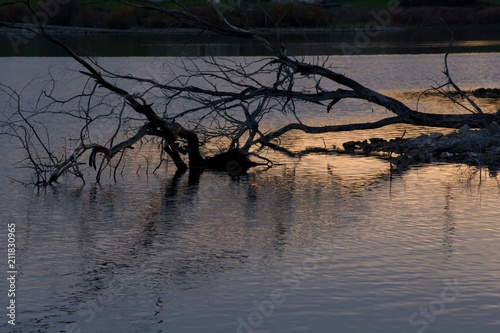 Nathure photo