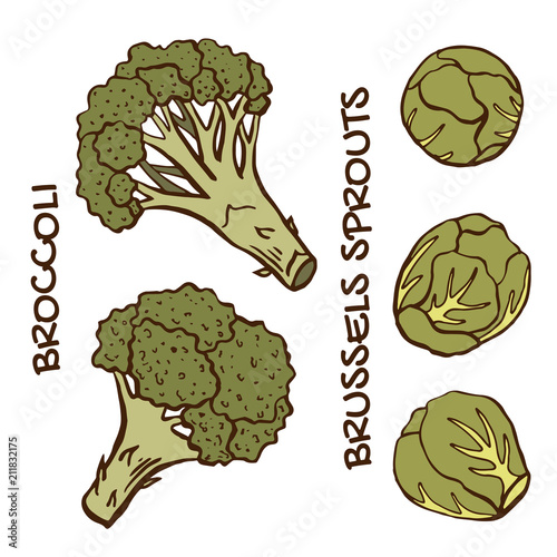 Set of comic stylized vegetables; broccoli, brussels sprouts; vector EPS8