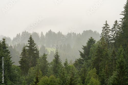 Wolkenverhangener Waldabschnitt © lexpixelart