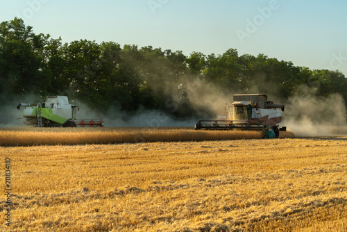 Harvesting of wheat. Combine harvesters at work © scharfsinn86