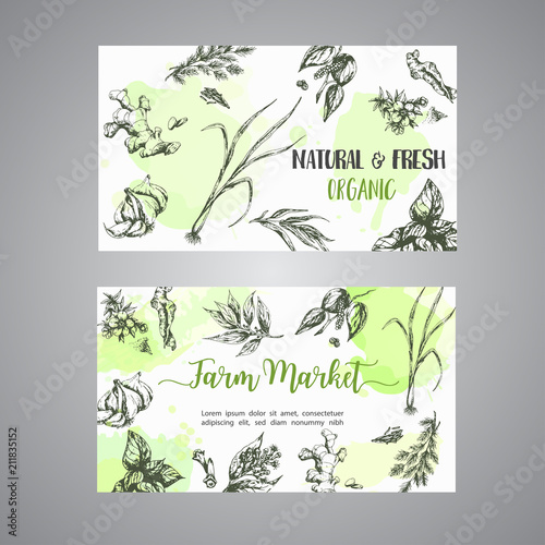 Herbs and spices cards Herb, plant, spice hand drawn set. Organic garden herbs engraving. Botanical sketches. Garlic, ginger, cloves and onion vector