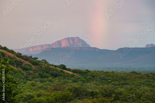 Marakele Nationalpark, Waterberg, Nylstroom,Limpopo, Südafrika, Afrika photo