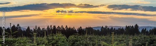 Sunset over Christmas tree plantation and spruce forest in the middle of Germany in a low mountain rage called Rothaargebirge, panorama. photo