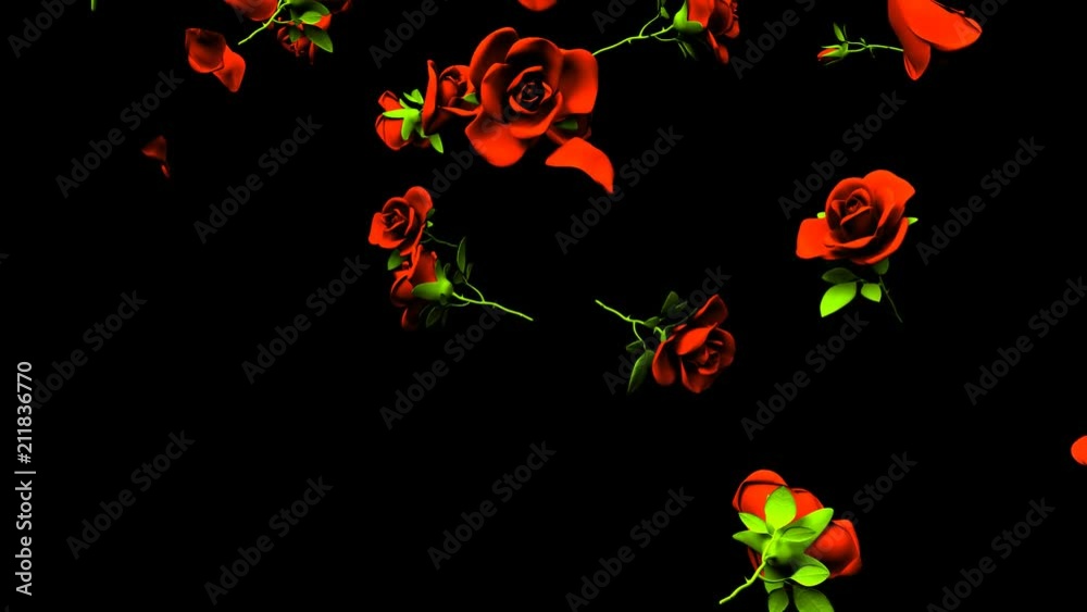 Falling Red Roses On Black Background.3DCG render Animation. Stock ...