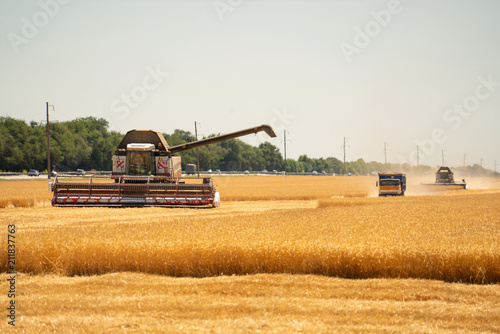 Harvesting of wheat. Combine harvesters at work