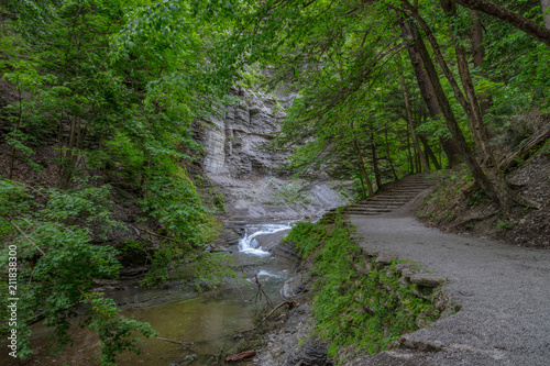 Stream with Rock Cliff - Pathway and Surrounded by Forest Trees