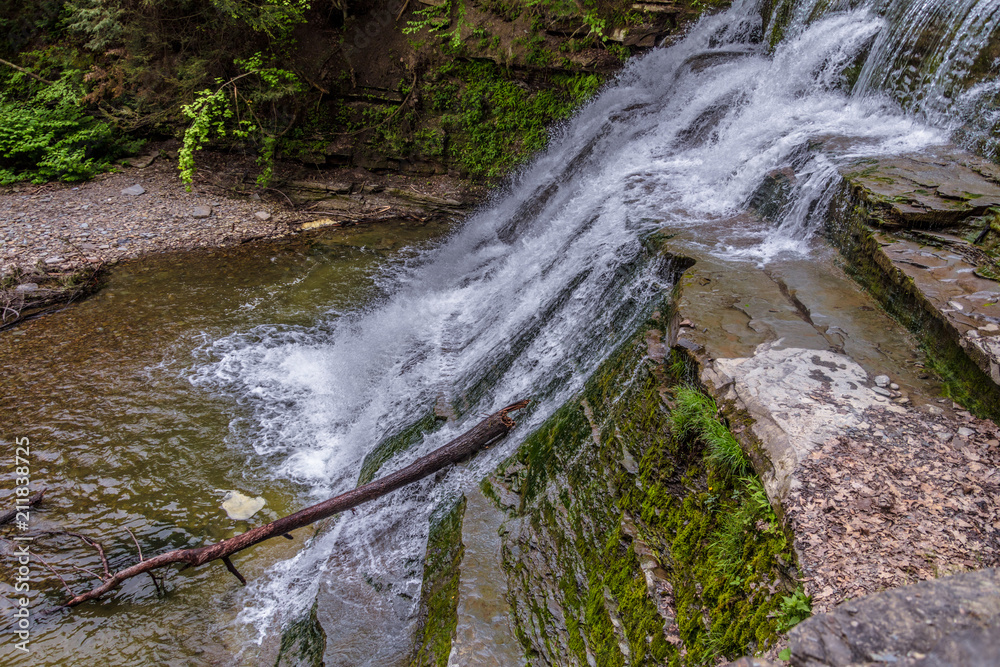 Fototapeta premium Waterfall with fallen tree in it and Rock Cliff
