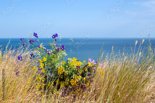 Fototapeta Naklejka Na Ścianę i Meble -  Wildflowers on blue sea background