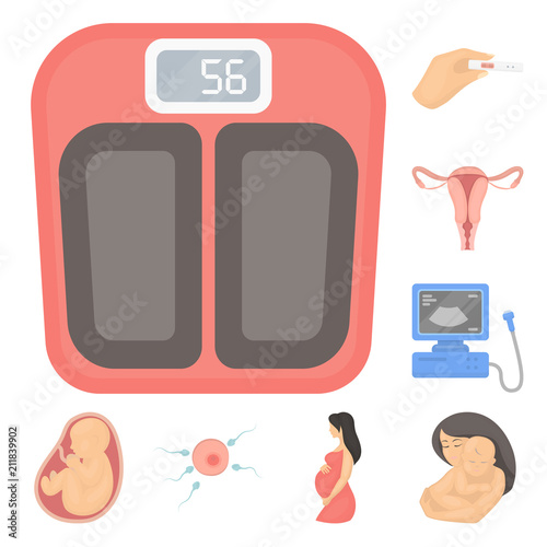 Woman and pregnancy cartoon icons in set collection for design. Gynecology and equipment vector symbol stock web illustration.