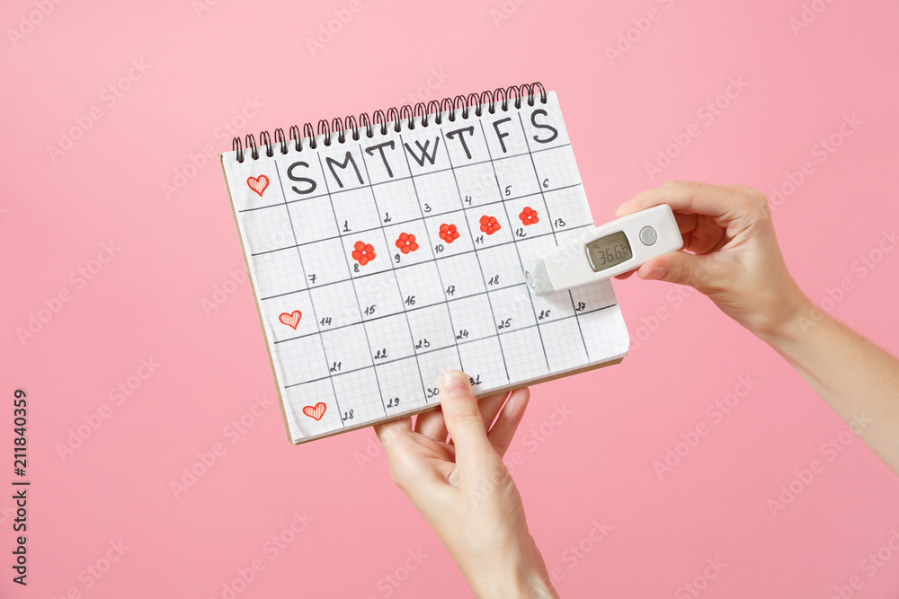 Close up female holds in hand thermometer, female periods calendar for  checking menstruation days isolated on trending pink background. Medical  healthcare, ovulation gynecological concept. Copy space. Stock Photo |  Adobe Stock