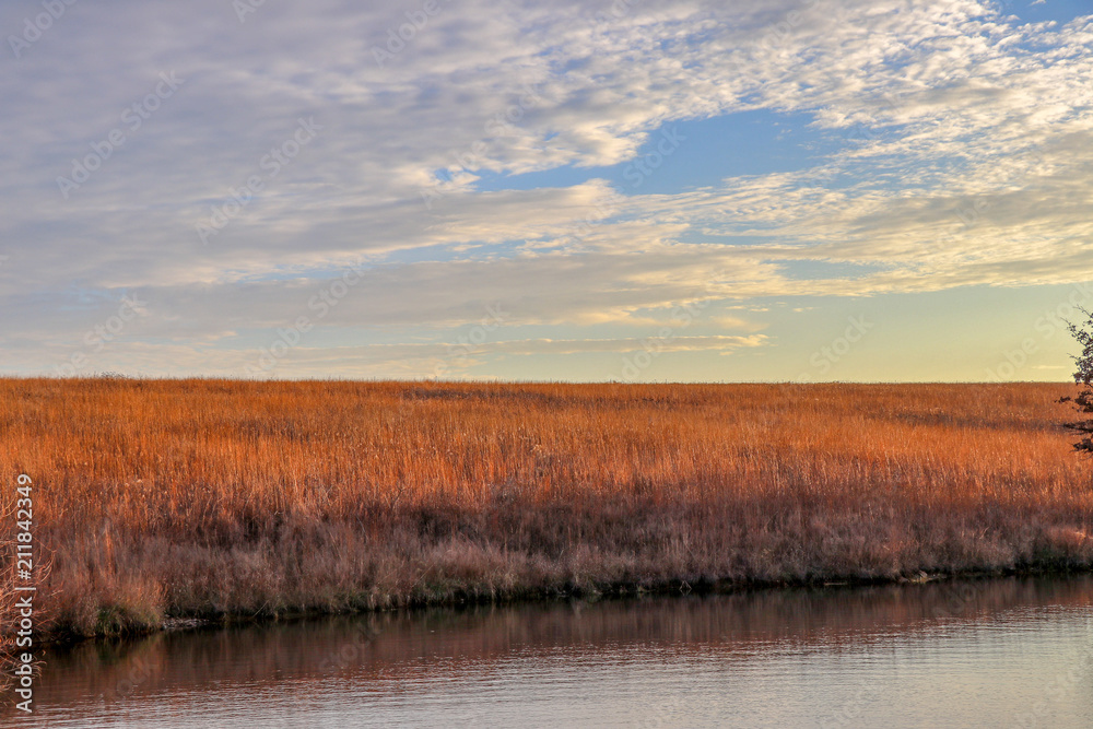 Fototapeta premium field with clouds