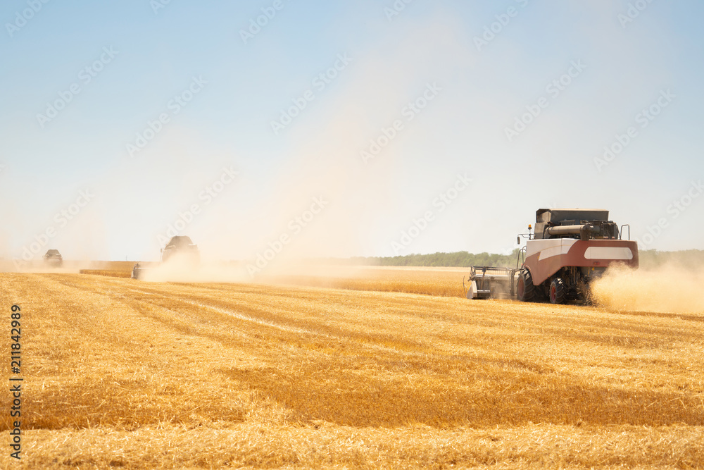 Naklejka premium Harvesting of wheat. Combine harvesters at work