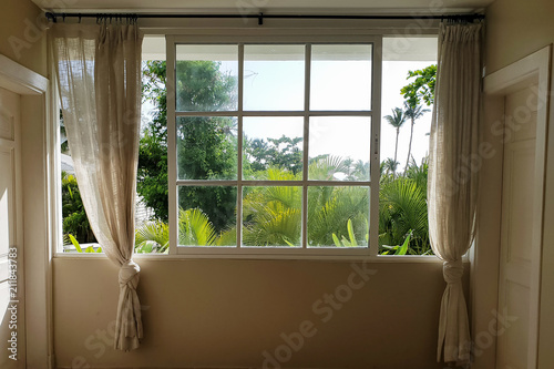 Window   View from window