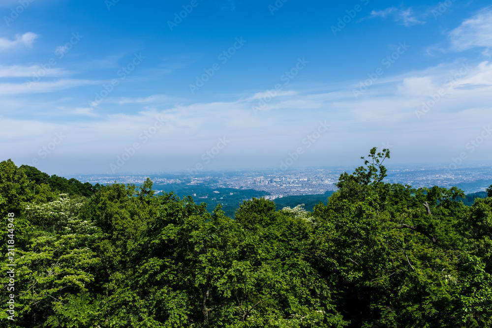 A view of Tokyo from Mount Takao