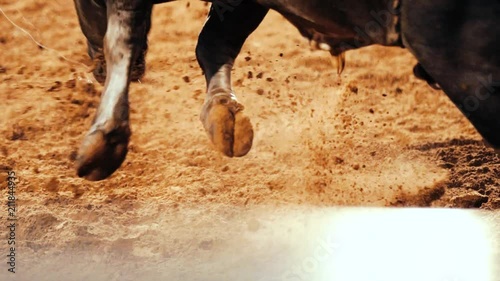 Bull Riding In Slow Motion With Dirt Flying photo