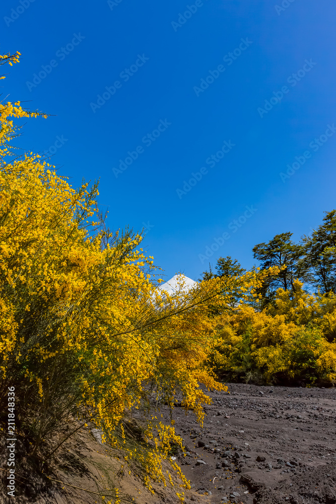 Fototapeta premium オソルノ山 