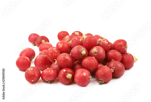 Pile of multiple radishes isolated