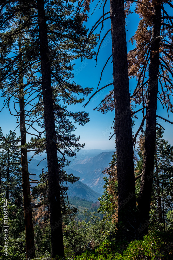 Obraz premium Yosemite national park, sierra nevada, california