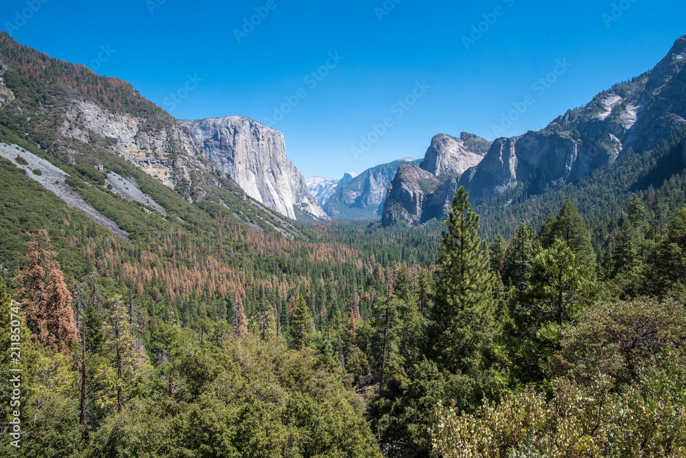 Tunnel View Half Dome El Capitan Yosemite National Park California