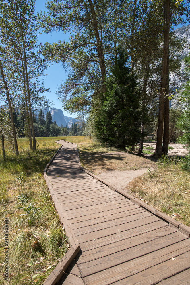 Obraz premium Merced River, Yosemite Valley, Yosemite National Park, Sierra Nevada, California