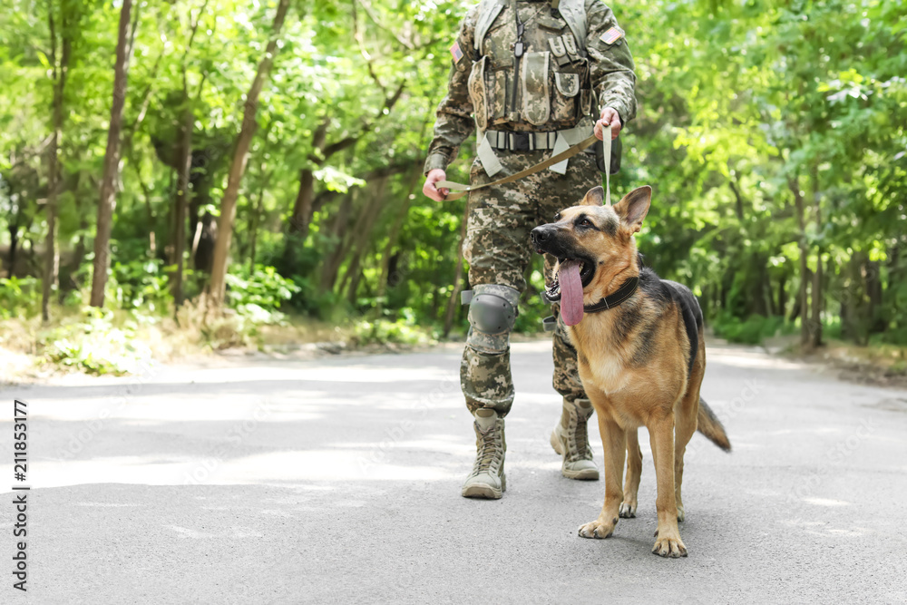 German shepherd outlet pants