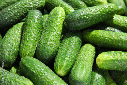 Ripe fresh cucumbers as background