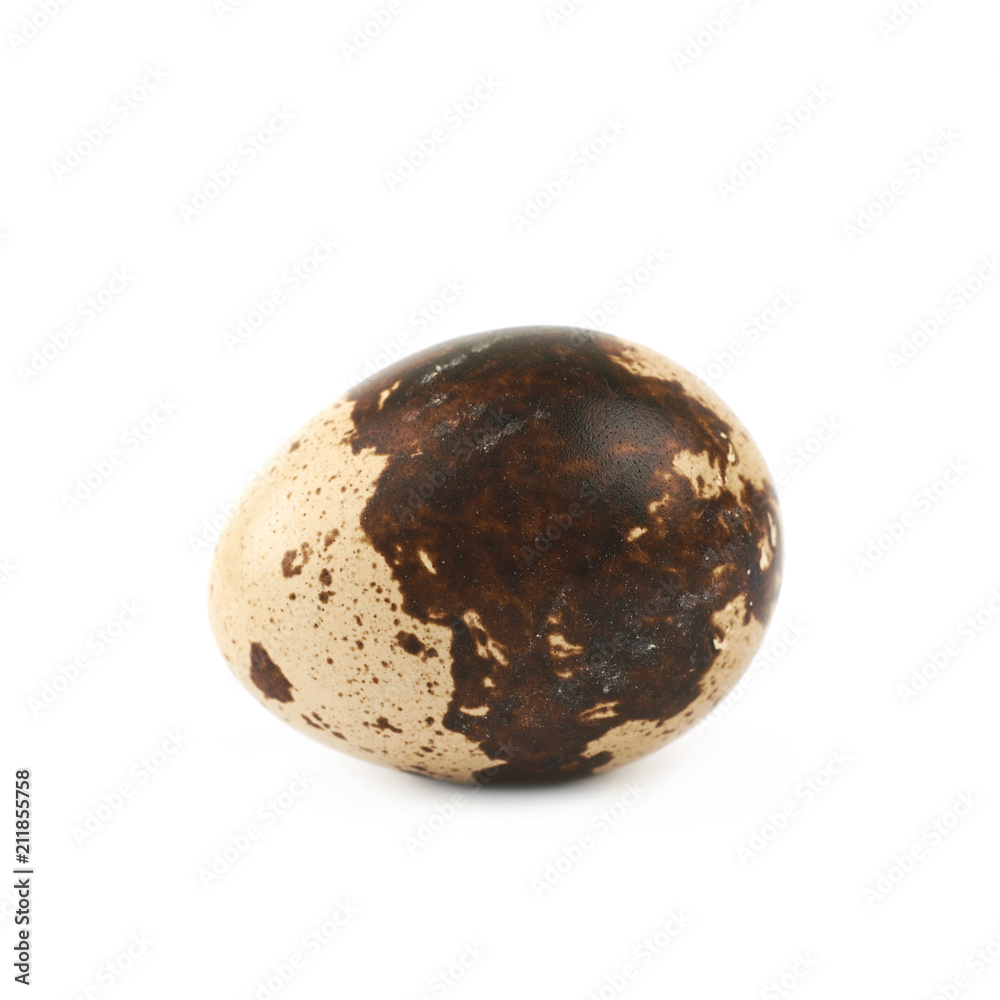 Quail egg composition isolated Quail egg composition isolated