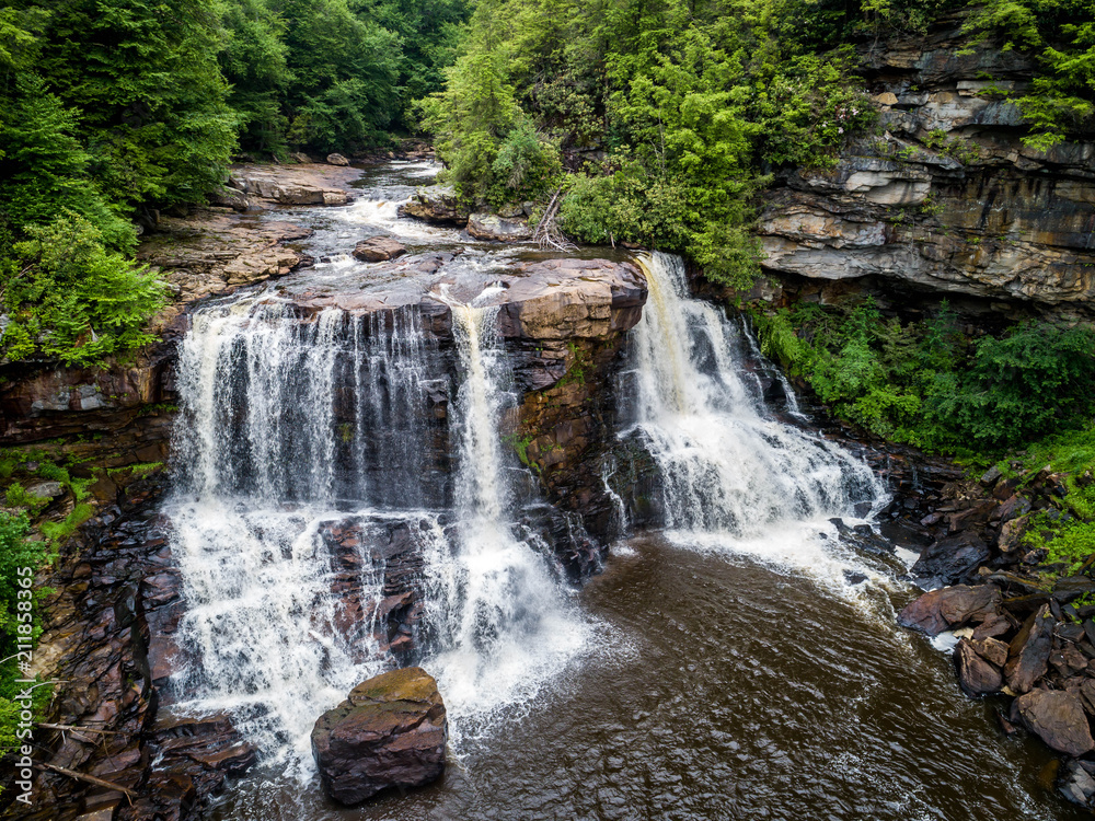 Naklejka premium Waterfall in Forest 4