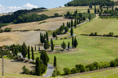 Winding Tuscan road surrounded by fields and Cypress trees, near La Foce, Tuscany photo