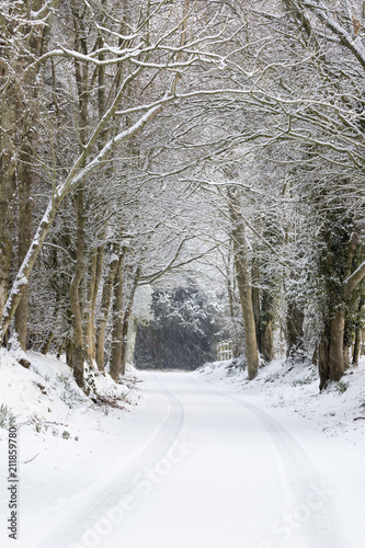 Snow covered tree-lined country lane, Burwash, East Sussex photo