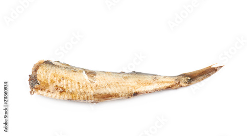 Single canned oiled sprat isolated