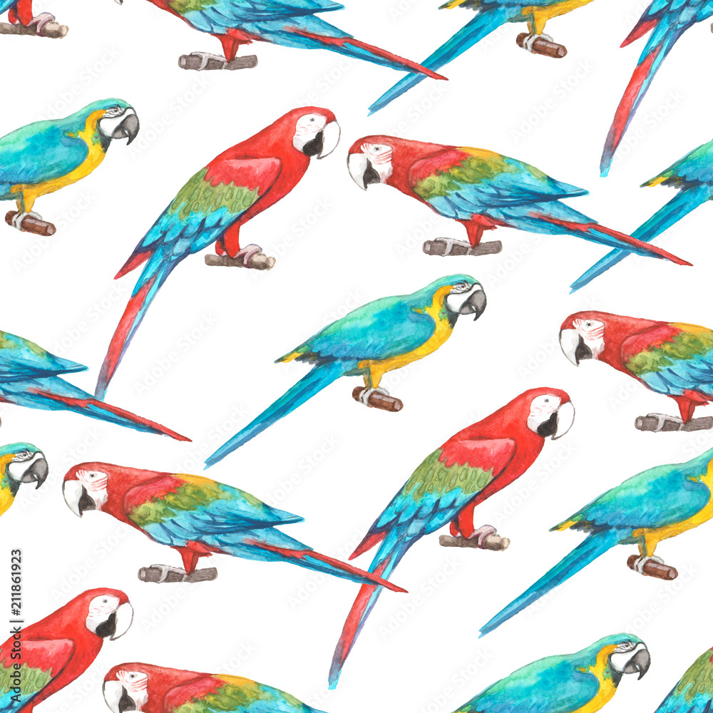 Obraz Seamless pattern of colorful tropical macaw parrots