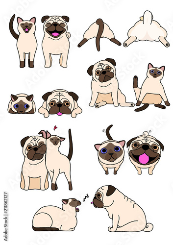 set of cat and dog pairs