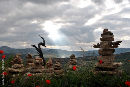 DRAGON AND STONES