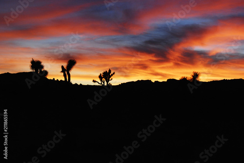 Beautiful sunset sky in Joshua Tree National Park