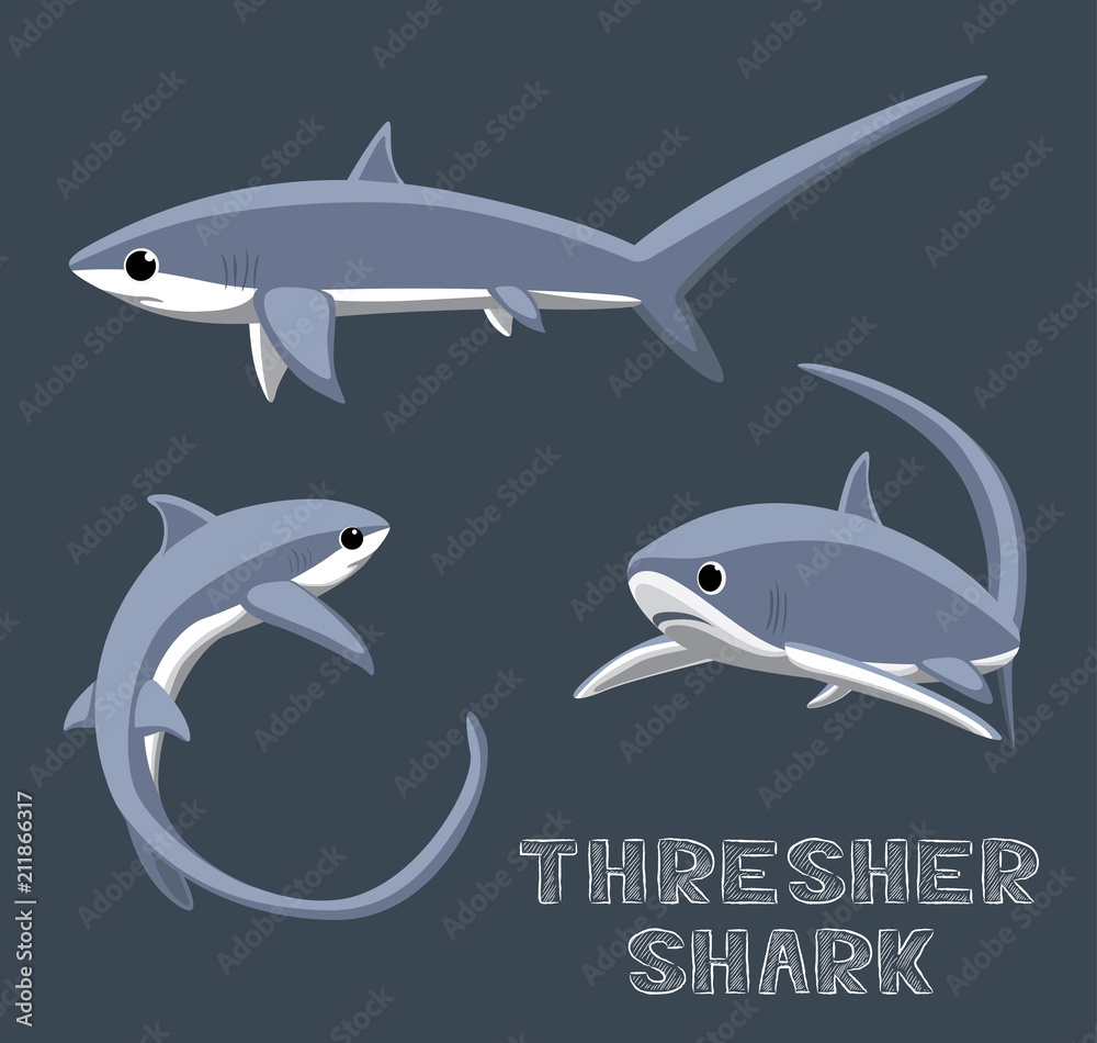 Fototapeta premium Thresher Shark Cartoon Vector Illustration