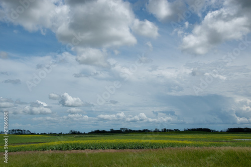 Farm land north of Churchbridge, Eastern Saskatchewan, Canada.