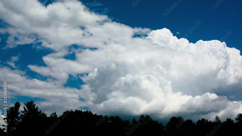 Time-lapse of clouds above trees during the Summer in upstate NY. Time-lapse of clouds above trees during the Summer in upstate NY.