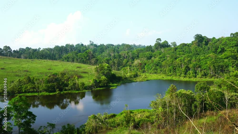 Wind slow blowing green tree in rainforest near ponds and hill. Forest in sunny day and blue sky and white clouds. Fresh air and good weather. Slide and moving camera from right to left. Wind slow blowing green tree in rainforest near ponds and hill. Forest in sunny day and blue sky and white clouds. Fresh air and good weather. Slide and moving camera from right to left.