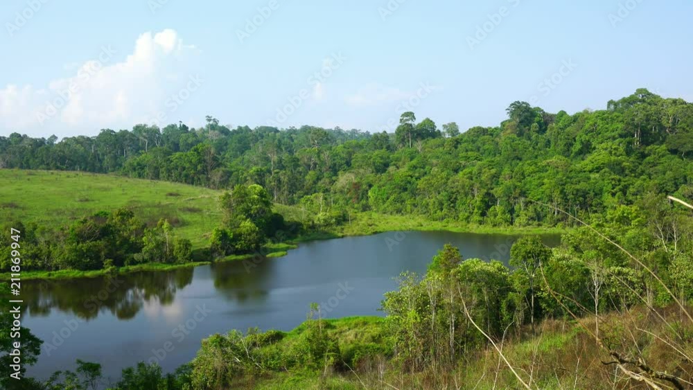 Wind slow blowing green tree in rainforest near ponds and hill. Forest in sunny day and blue sky and white clouds. Fresh air and good weather. Wind slow blowing green tree in rainforest near ponds and hill. Forest in sunny day and blue sky and white clouds. Fresh air and good weather.