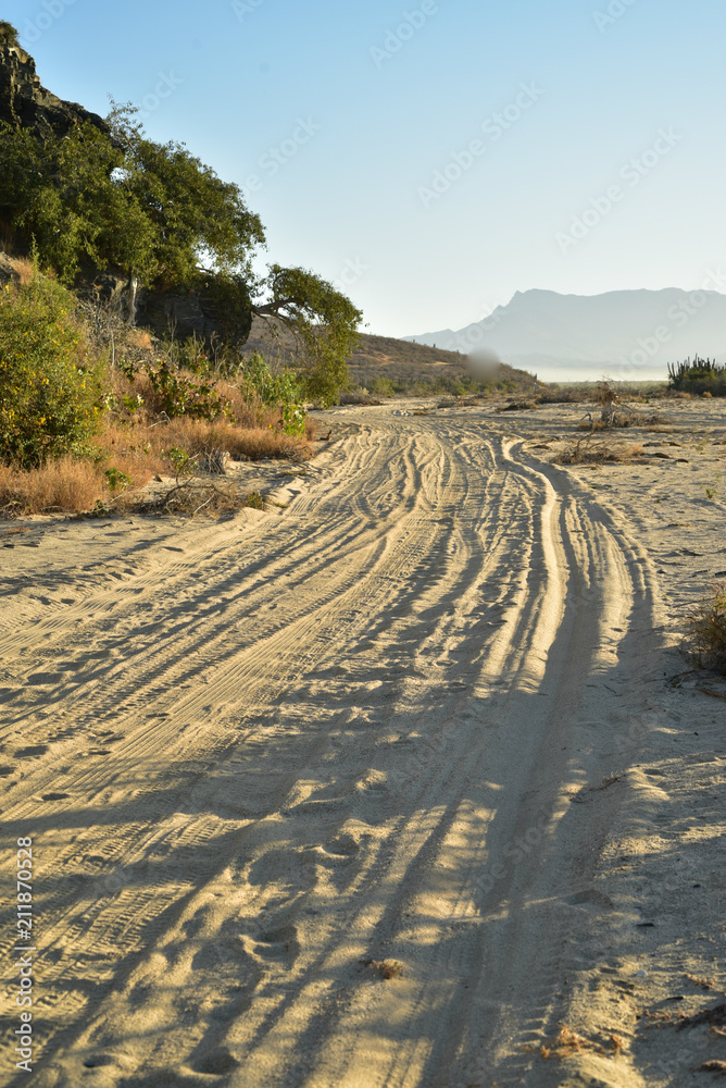 Naklejka premium morning on sandy beach road in tropical Baja, Mexico