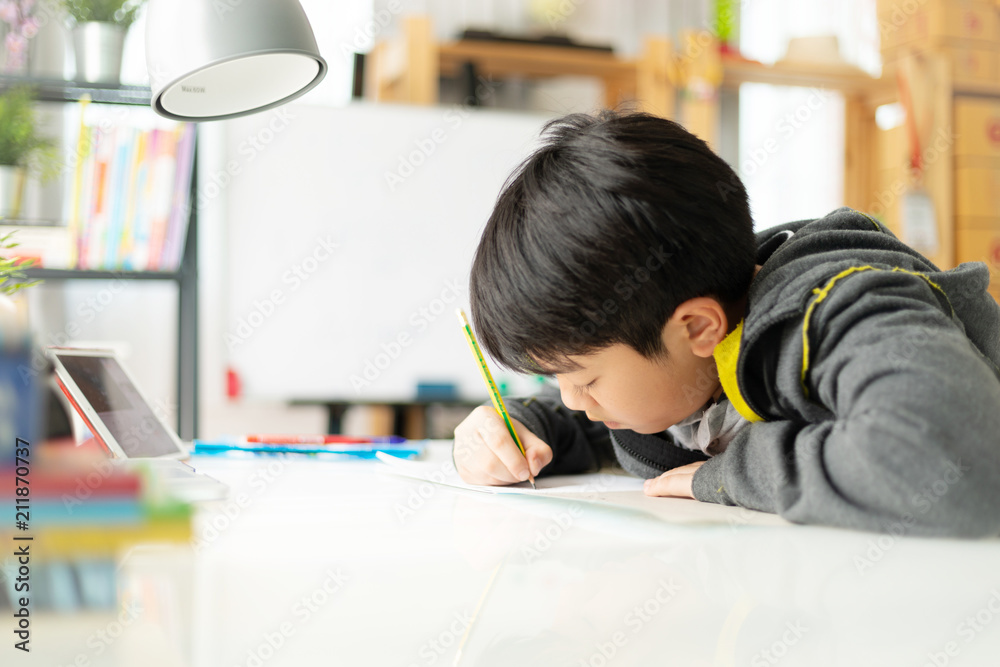 Young asian teenage student doing homework . Young asian teenage student doing homework .