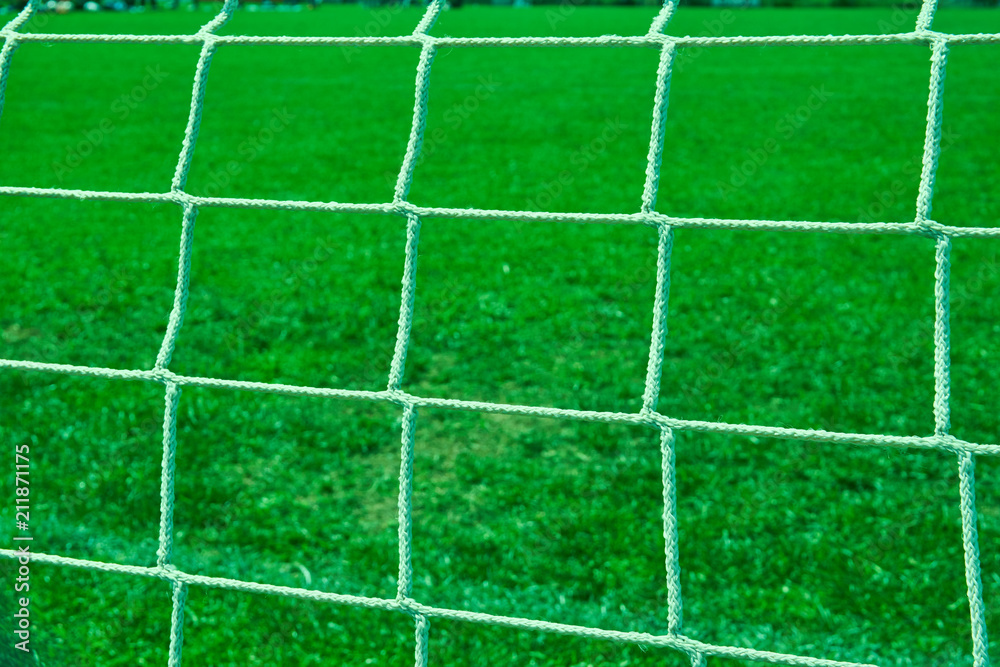 Goal net