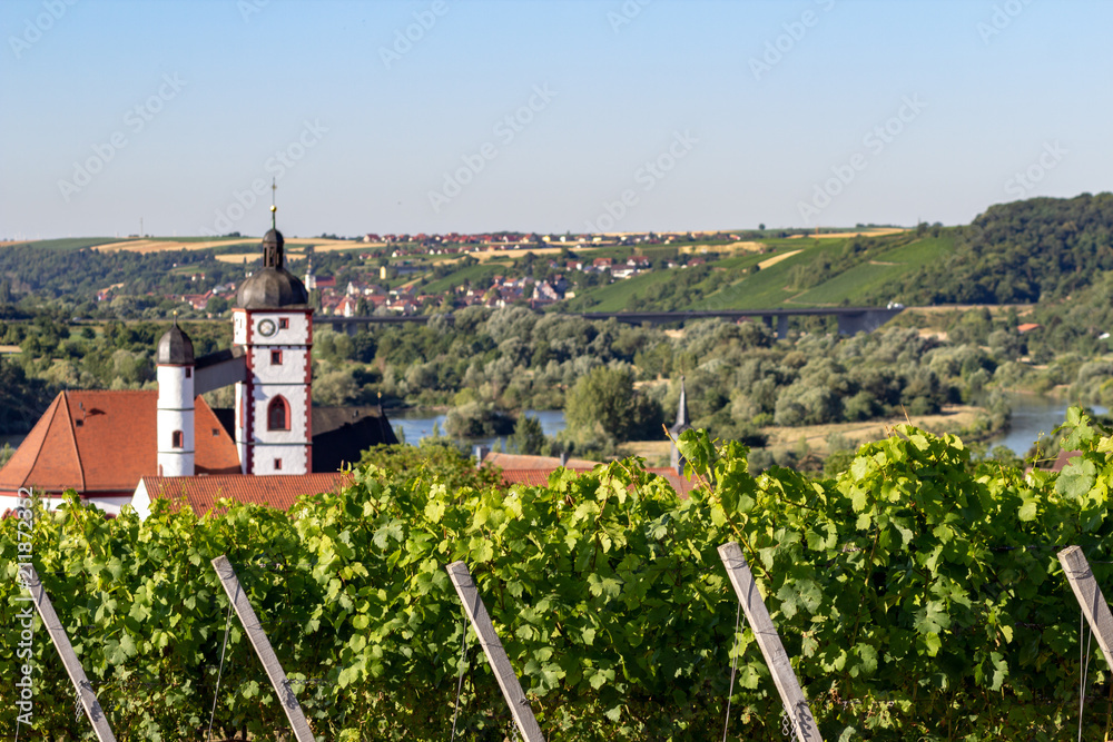 Blick in die Landschaft mit Kirche, Main und Weinbergen von der Dettelbacher Sonnenleite aus. Im Hintergrund sieht man Mainstockheim.