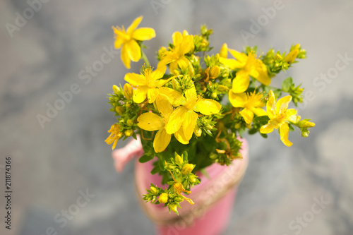 St John's wort is blooming in pink vase. It is herb that is favourable for psyche.